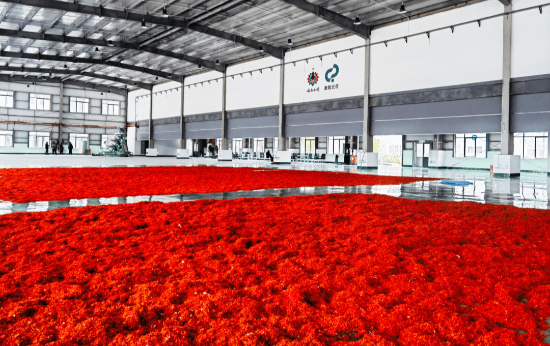 BroadCool's mobile clean cold storage for Yunnan Baiyao safflower