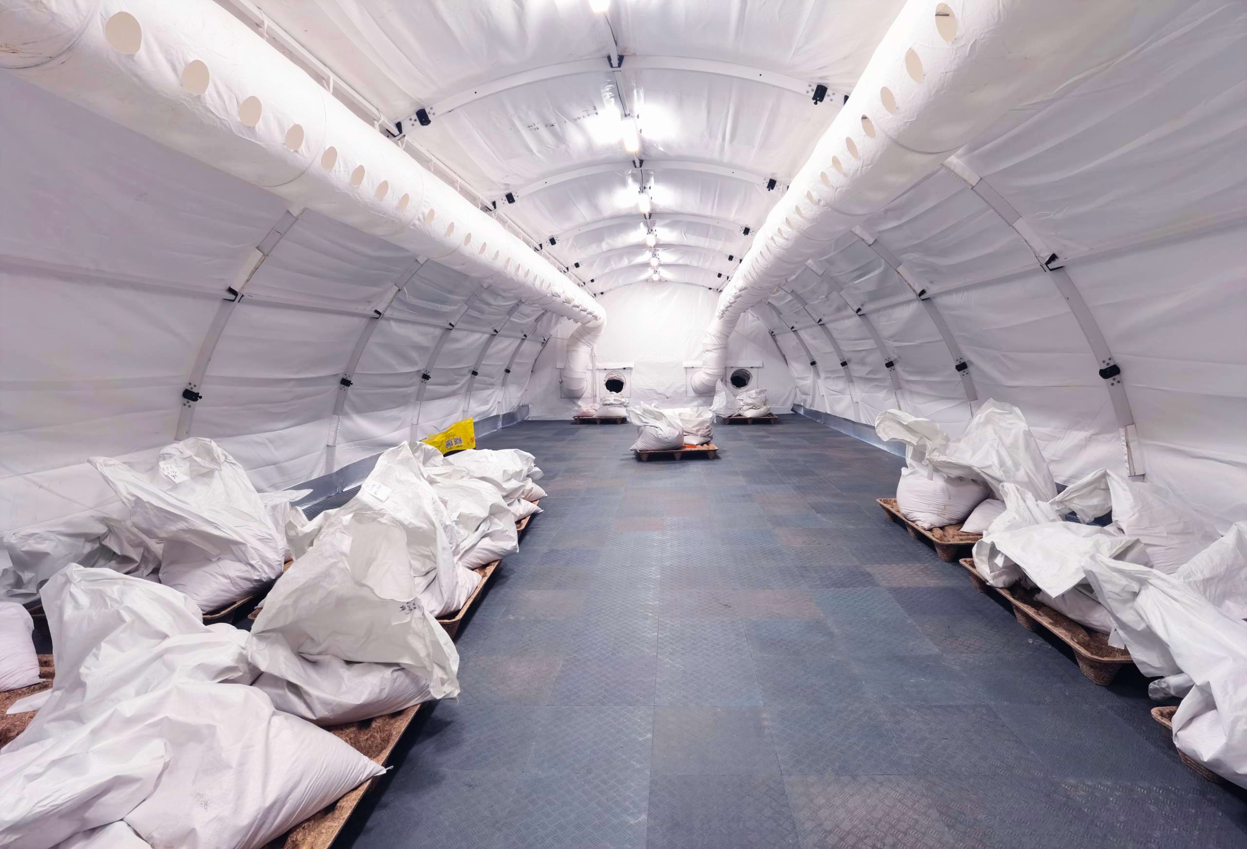 Broadwell cold storage for Chinese medicine